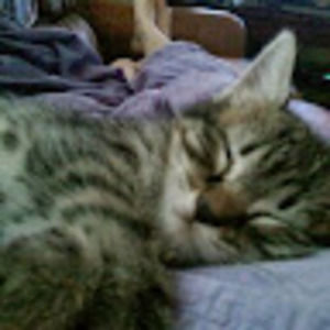 Meet your Posher, 29doreangrey